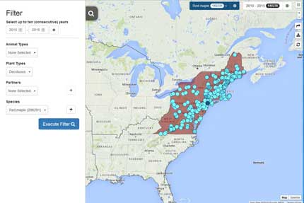 The Phenology Vizualization Tool map output showing phenology records for a species.