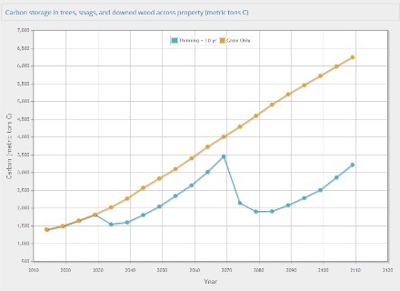 A chart from the Forest Planner comparing forest carbon storage estimates for two different management scenarios.