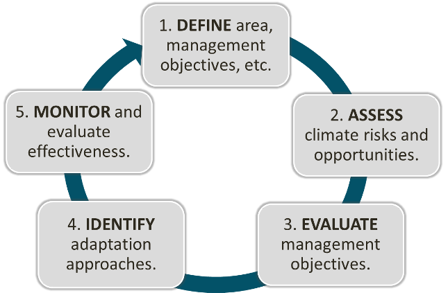 A summary of the process from the Adaptation Workbook. The North Shore Restoration Project used this process to incorporate climate change into their planning.