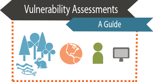 Vulnerability Assessments Primer cover