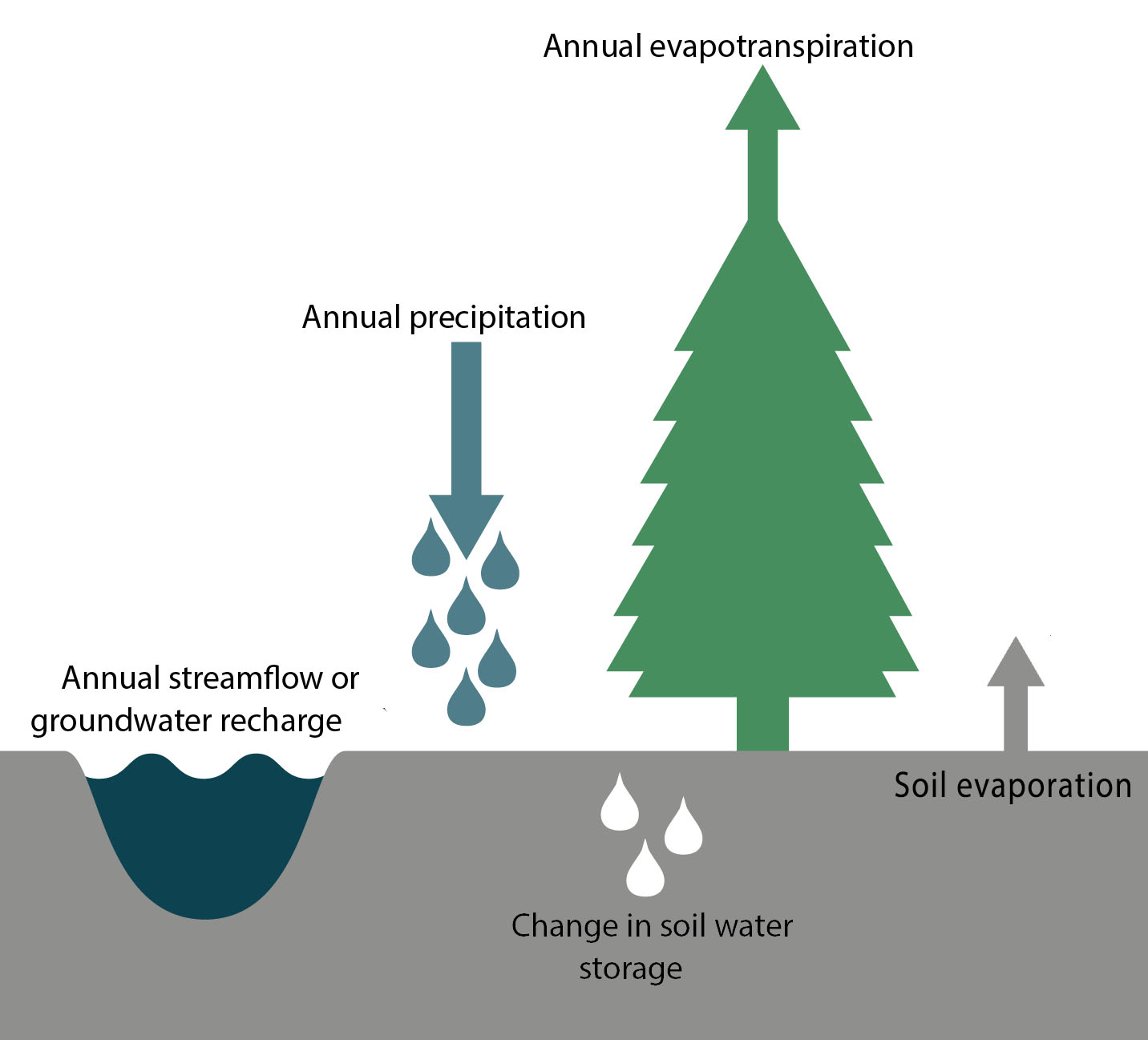 Elements of the annual water balance: Annual streamflow or groundwater recharge, annual precipitation, annual evapotranspiration, soil evaporation, change in soil water storage