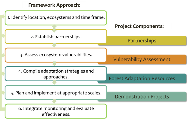 CCRF Process diagram showing 6 steps