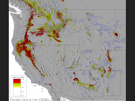 A map of likely suitable climate for Ponderosa pine for the year 2030, using the CGCM3 climate model and the A2 emissions scenario. 